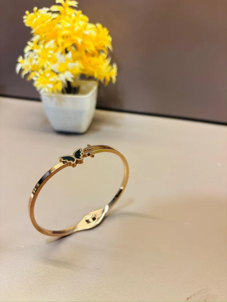 WhatsApp Image 2026-01-26 at 4.39.41 PM (3).webp