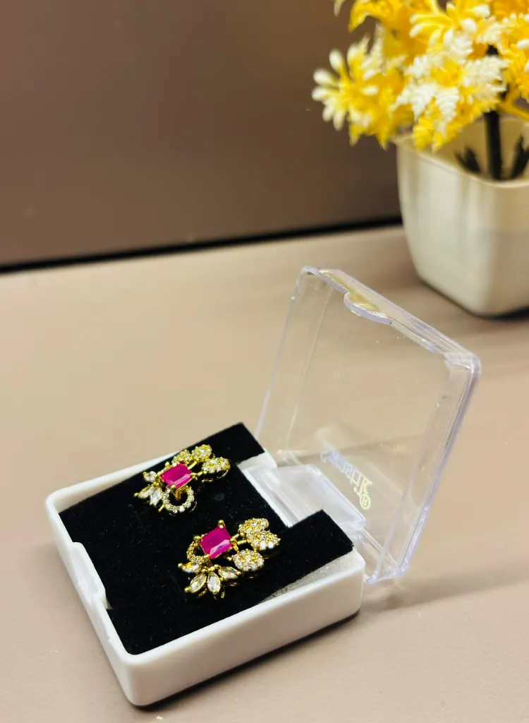 WhatsApp Image 2026-01-26 at 4.39.38 PM.webp